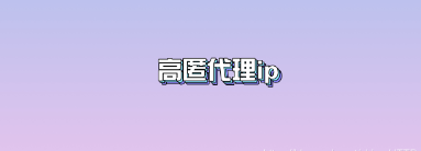 高匿代理IP